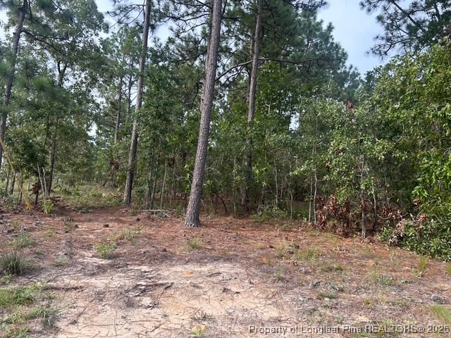 1218-1233 Loop Road Raeford, NC 28376 - Photo 3 of 12 a view of outdoor space with trees