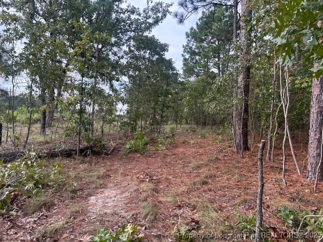 1218-1233 Loop Road Raeford, NC 28376 - Photo 4 of 12 a view of a forest filled with trees
