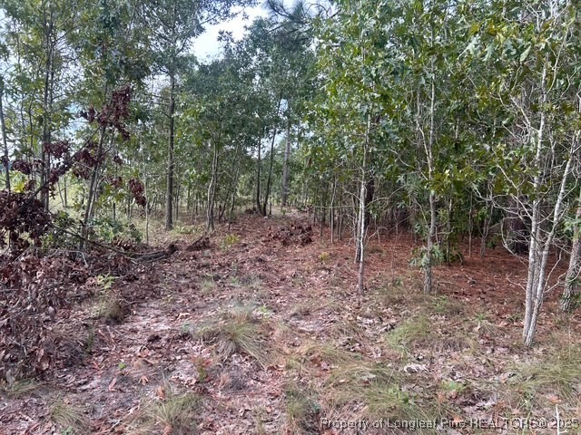 1218-1233 Loop Road Raeford, NC 28376 - Photo 5 of 12 a view of a forest with trees in the background