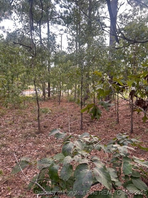 1218-1233 Loop Road Raeford, NC 28376 - Photo 7 of 12 a backyard of a house with lots of green space