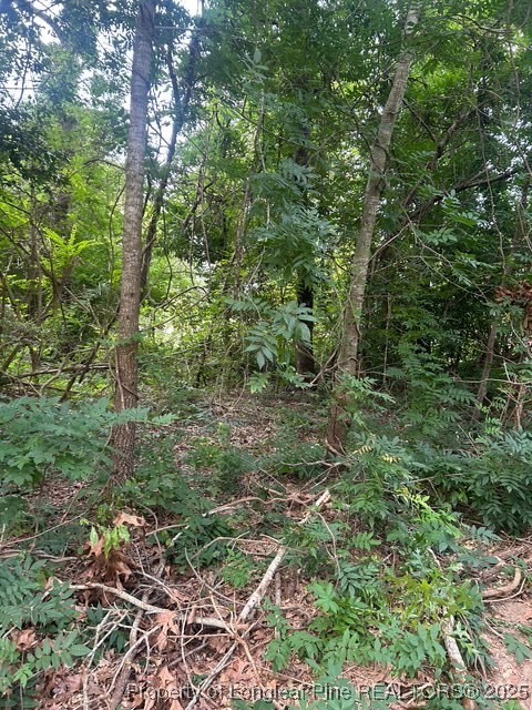 1218-1233 Loop Road Raeford, NC 28376 - Photo 10 of 12 a view of a lush green forest