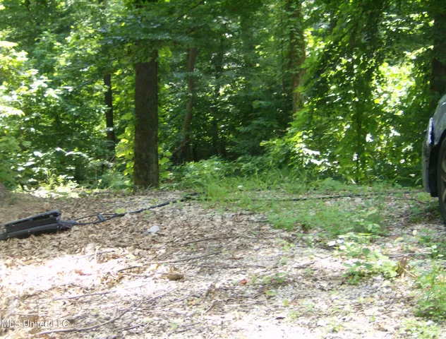 $19,999 | 3310 Monans Rill Cove, Hernando, MS 38632