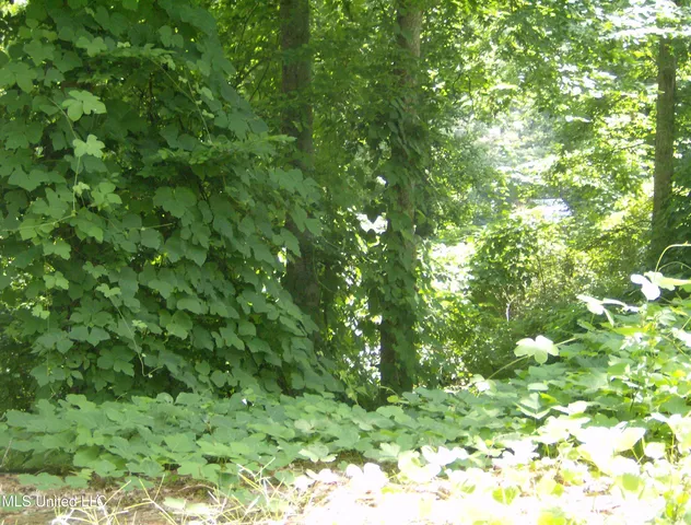 $19,999 | 3310 Monans Rill Cove, Hernando, MS 38632