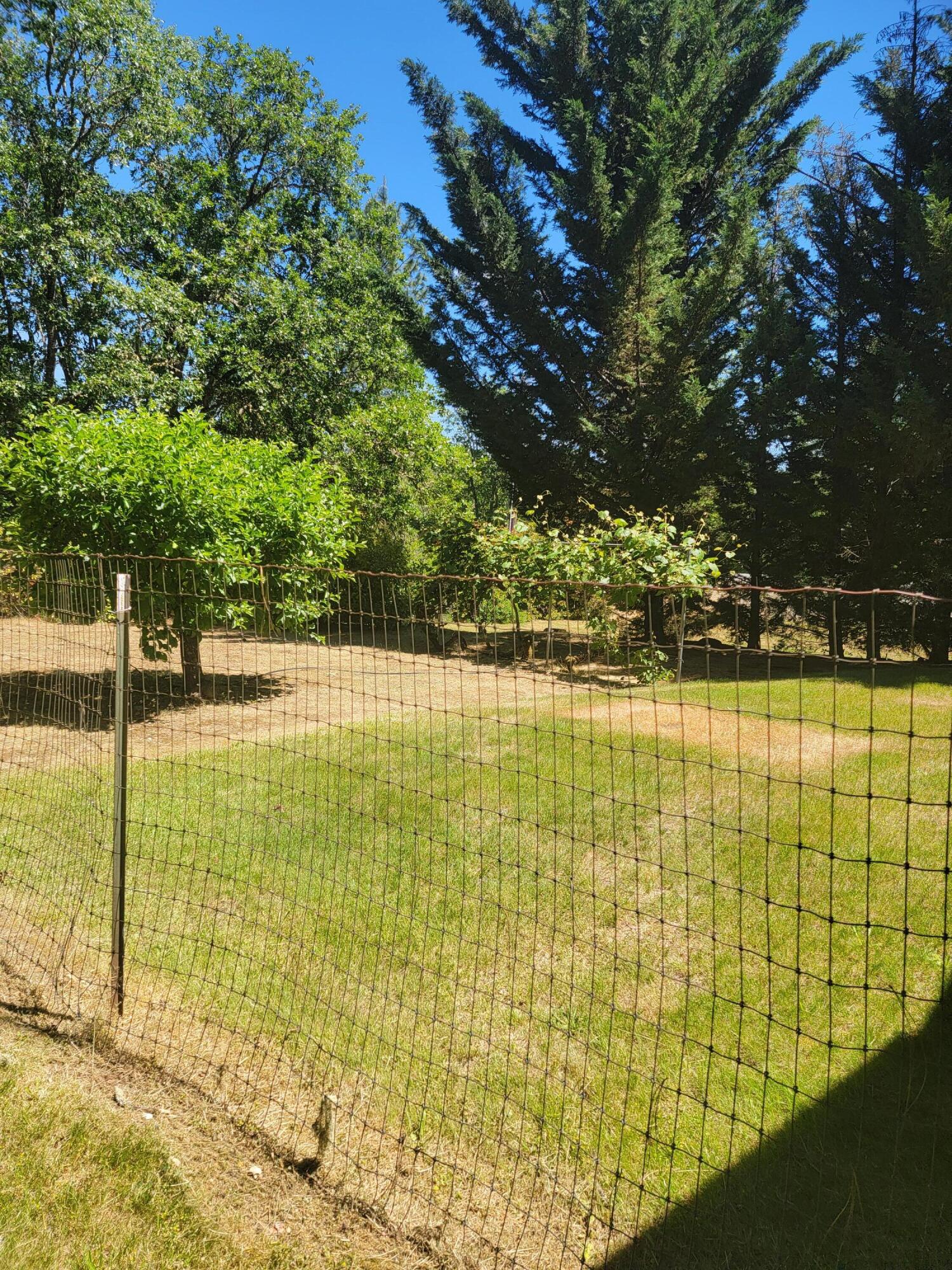 1130 North Old Stage Road Cave Junction, OR 97523 - Photo 27 of 35 Garden area