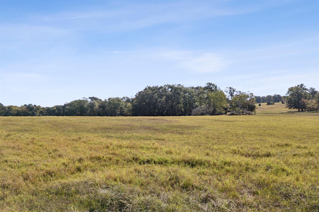 1133 VZ County Road Canton, TX 75103 - Photo 29 of 38 a view of lake and mountain