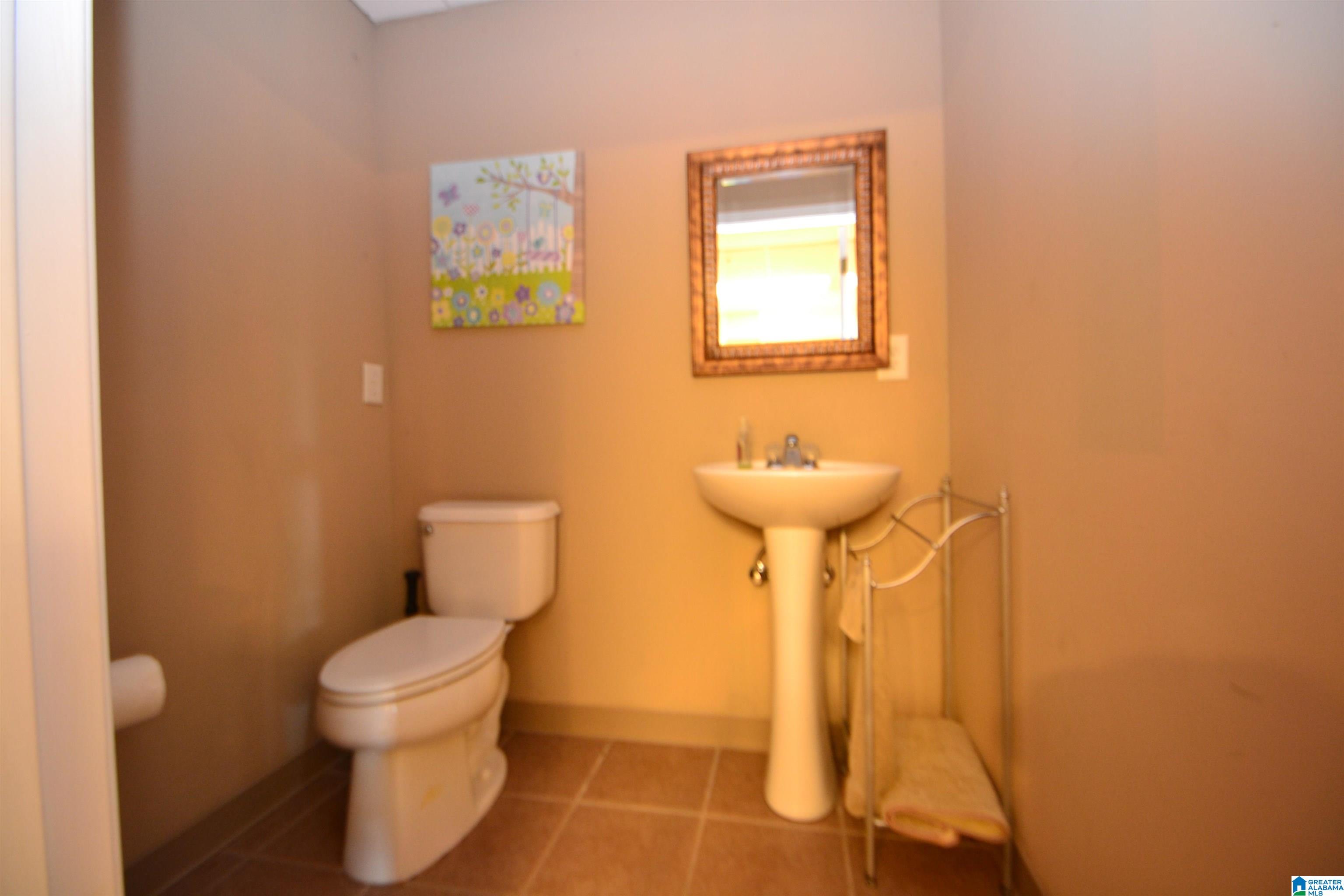 207 Stetson Lane Alabaster, AL 35007 - Photo 40 of 57