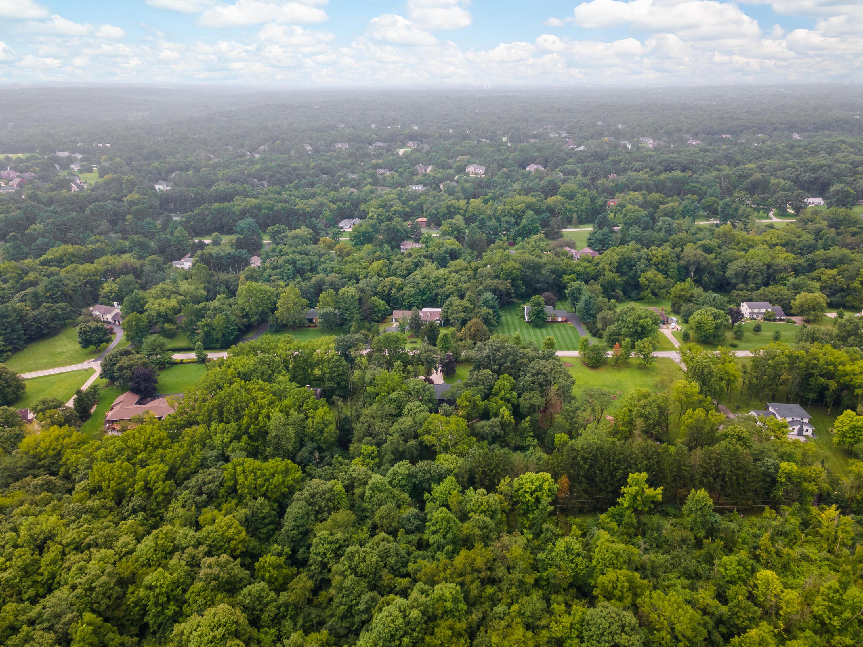 1560 Carriage Road Powell, OH 43065 - Photo 64 of 73 Lush tree canopy surrounding a residence with a paved driveway and pitched roof