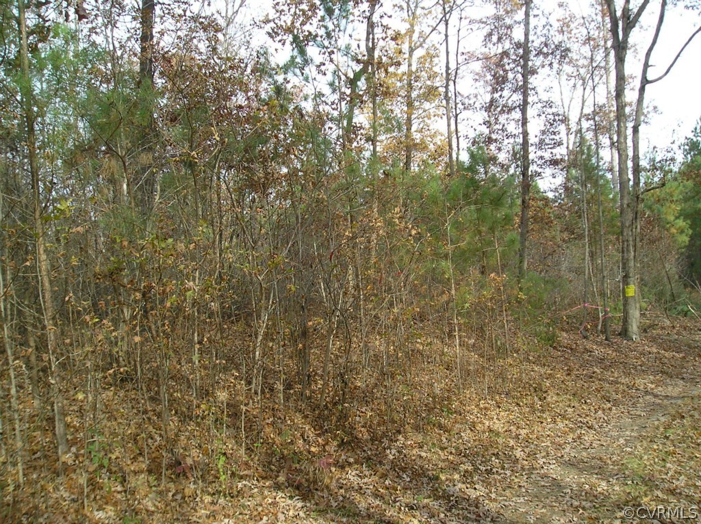 17201 Cox Road Sutherland, VA 23885 - Photo 1 of 3 Gallery Image 1