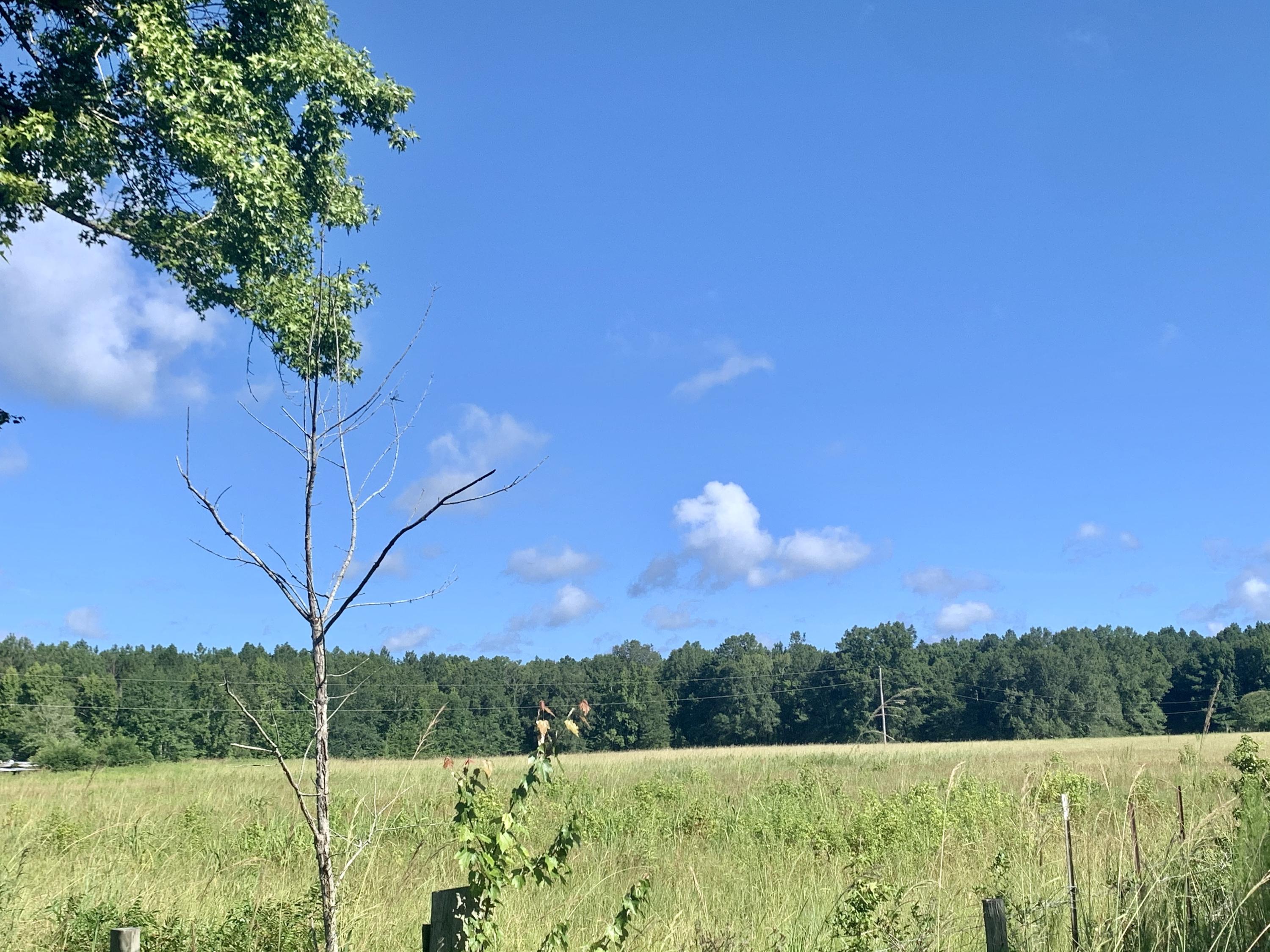3630 Cross Swamp Road Islandton, SC 29929 - Photo 8 of 21 FF0F07EE-DBFB-4B57-BD2F-C0FF87DF5BE4