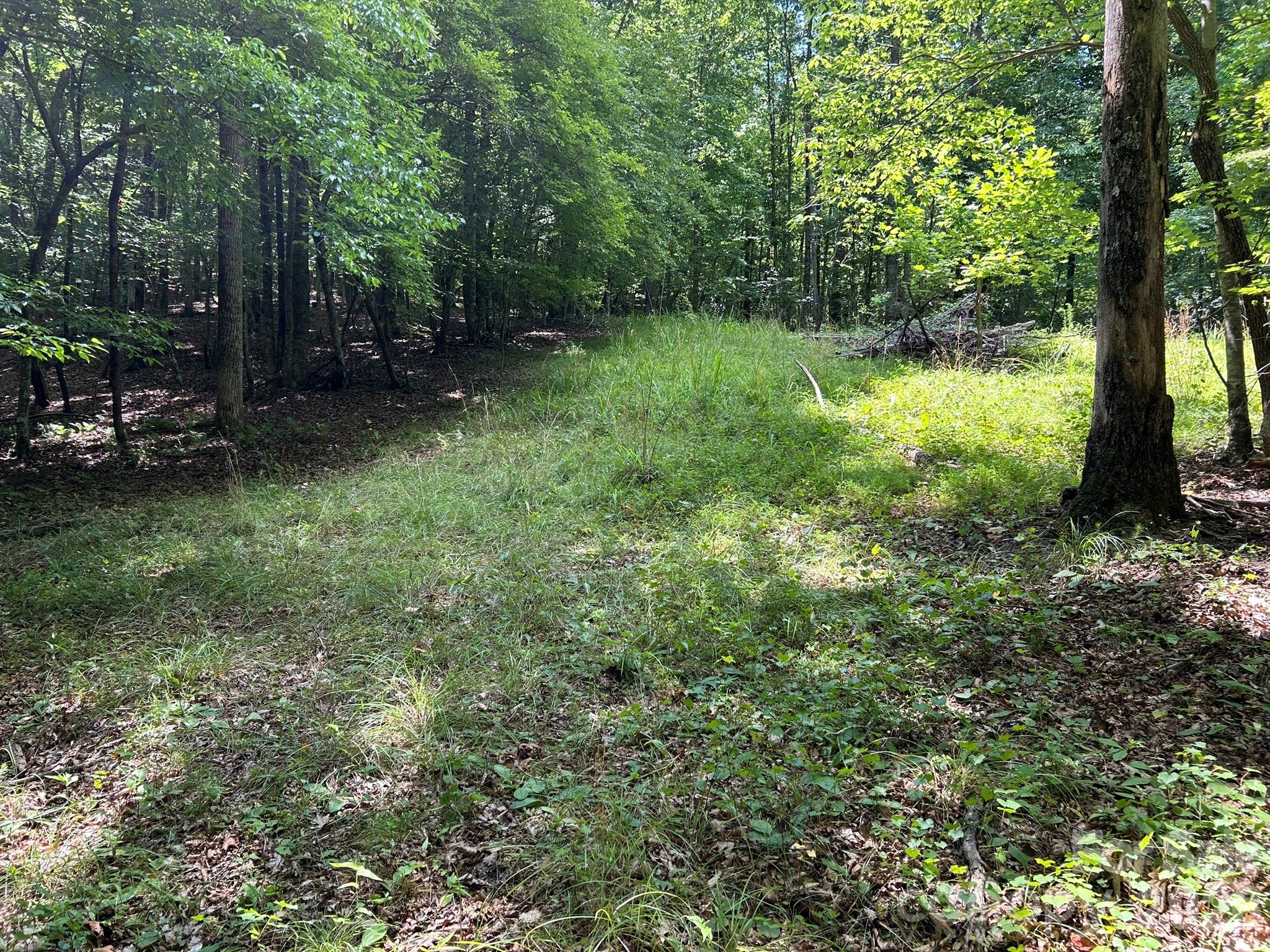 0 Wilderness Ridge, Unit 4 Rutherfordton, NC 28139 - Photo 7 of 11