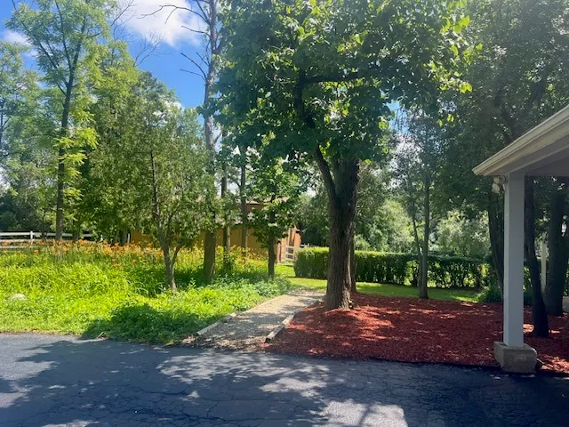 a view of a street with a tree