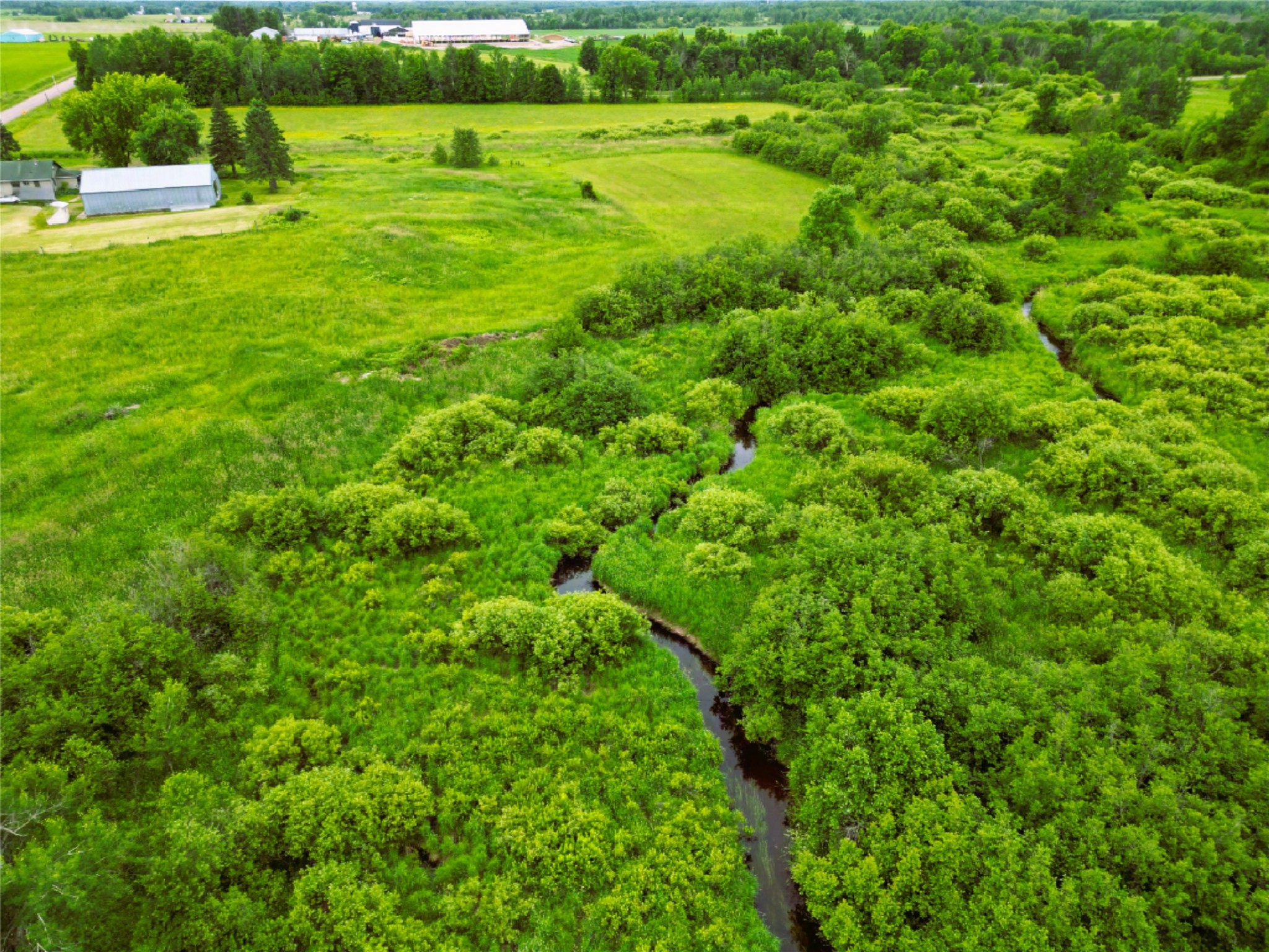 N2737 East Grow Road Tony, WI 54563 - Photo 35 of 42