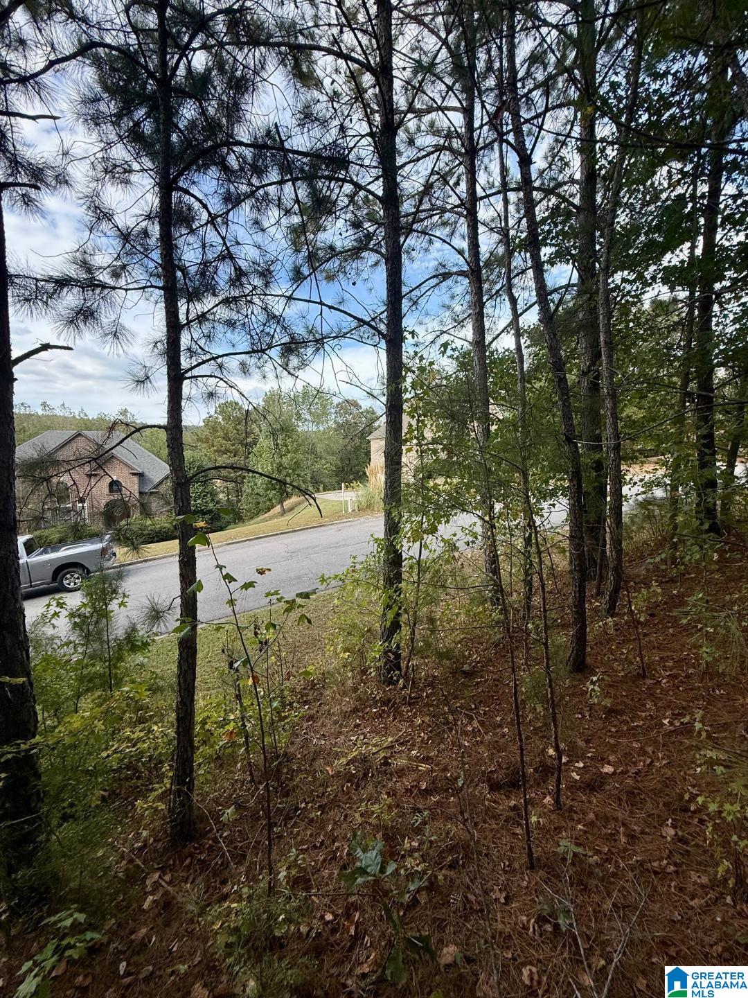 325 Deer Ridge Lane, Unit 29 Chelsea, AL 35043 - Photo 7 of 17