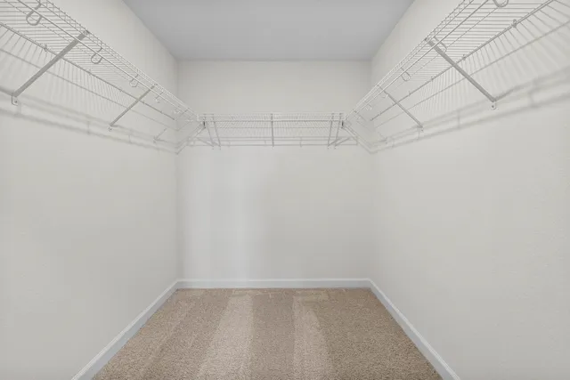 a view of a room with racks on the wall