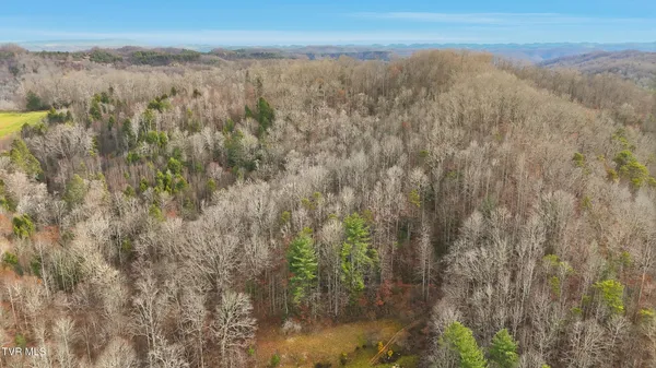 $89,999 | Tbd River Lane, Coeburn, VA 24230