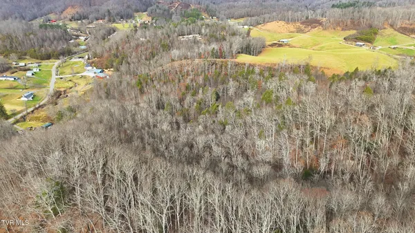 $89,999 | Tbd River Lane, Coeburn, VA 24230