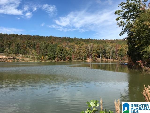 Lot 5 Deer Ridge Drive, Unit LOT # 5 Pelham, AL 35124 - Photo 6 of 8