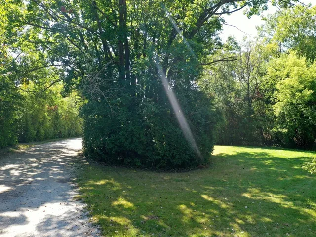 a view of outdoor space and yard