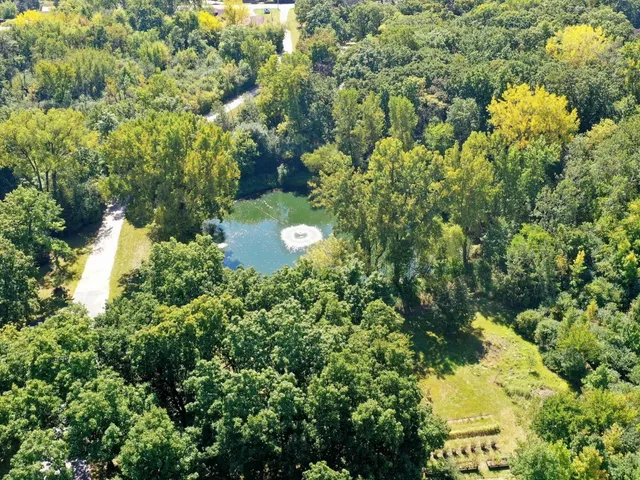 a view of a tree with a yard