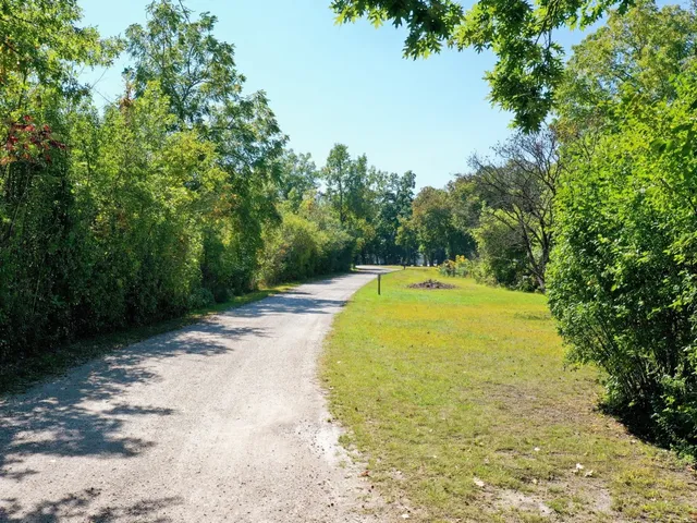 a view of a swimming pool with an outdoor space