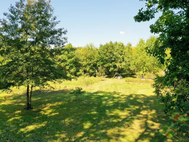 a view of yard with large trees