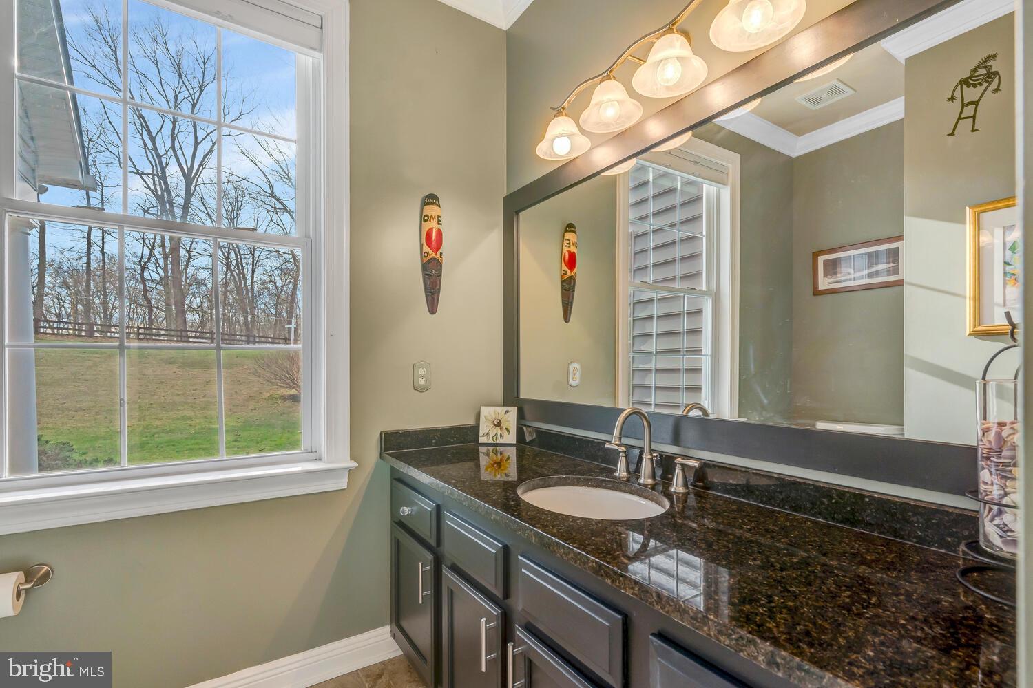 2673 Fairground Road Front Royal, VA 22630 - Photo 74 of 91 Elegant bathroom with natural light.