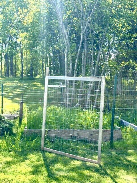 168 Kansas Road Milbridge, ME 04658 - Photo 30 of 32 IMG_5443