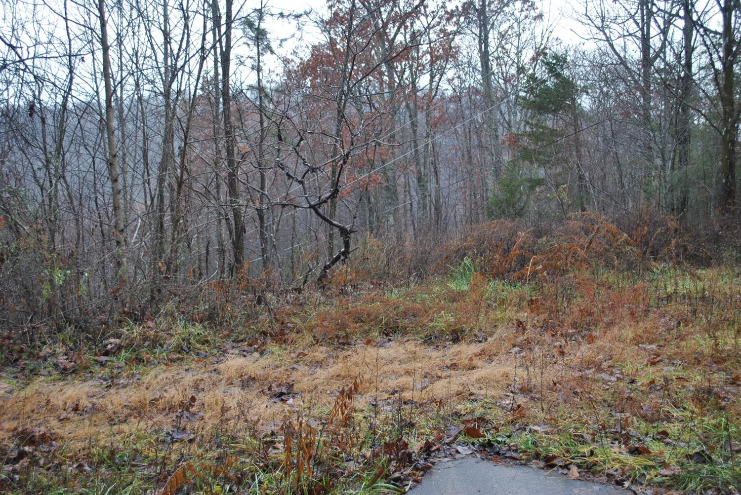 567 Chestnut Flat School Road McKee, KY 40447 - Photo 24 of 68 Photo 24