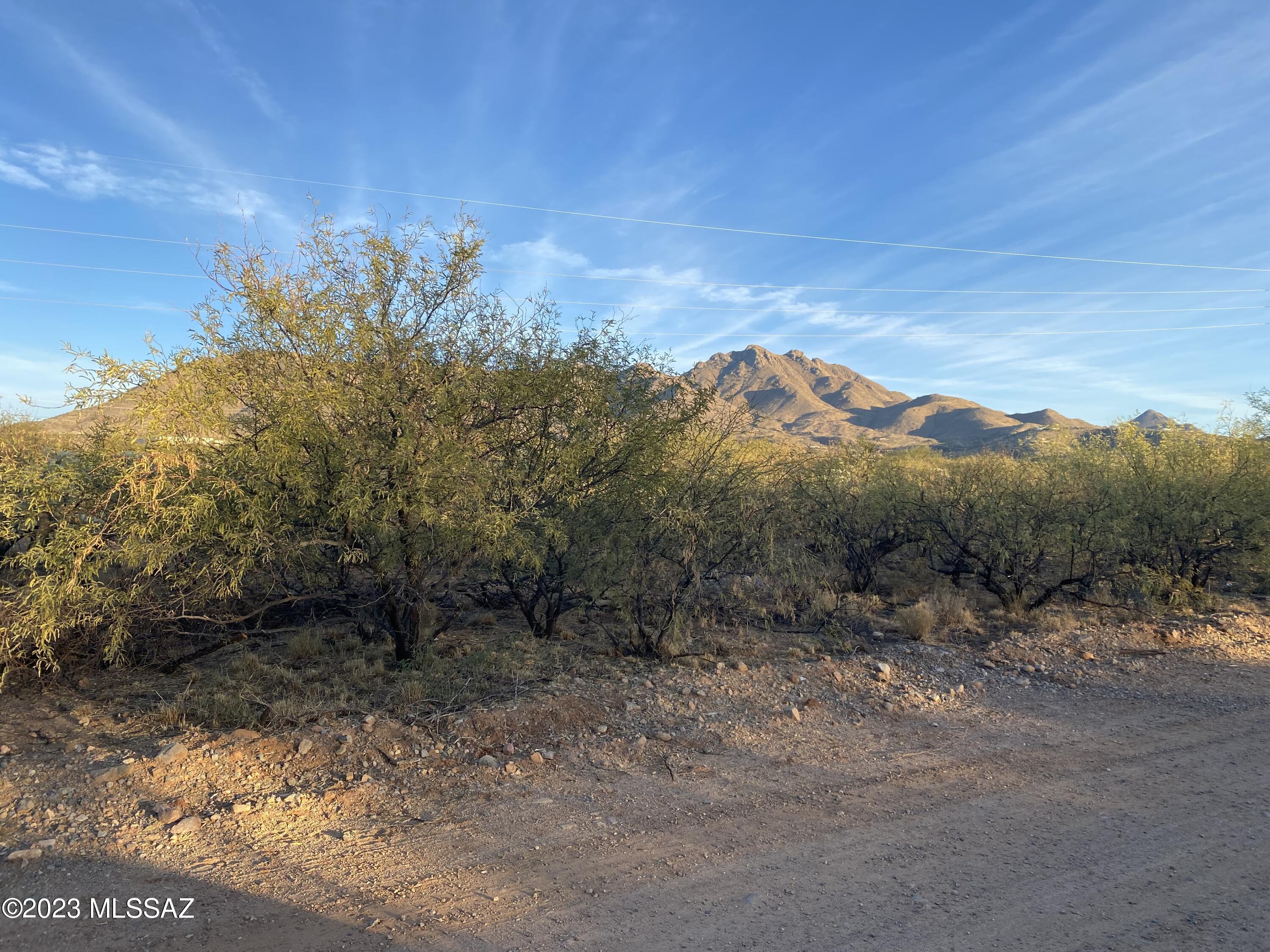 1727 Faro Court, Unit 71 Rio Rico, AZ 85648 - Photo 2 of 4