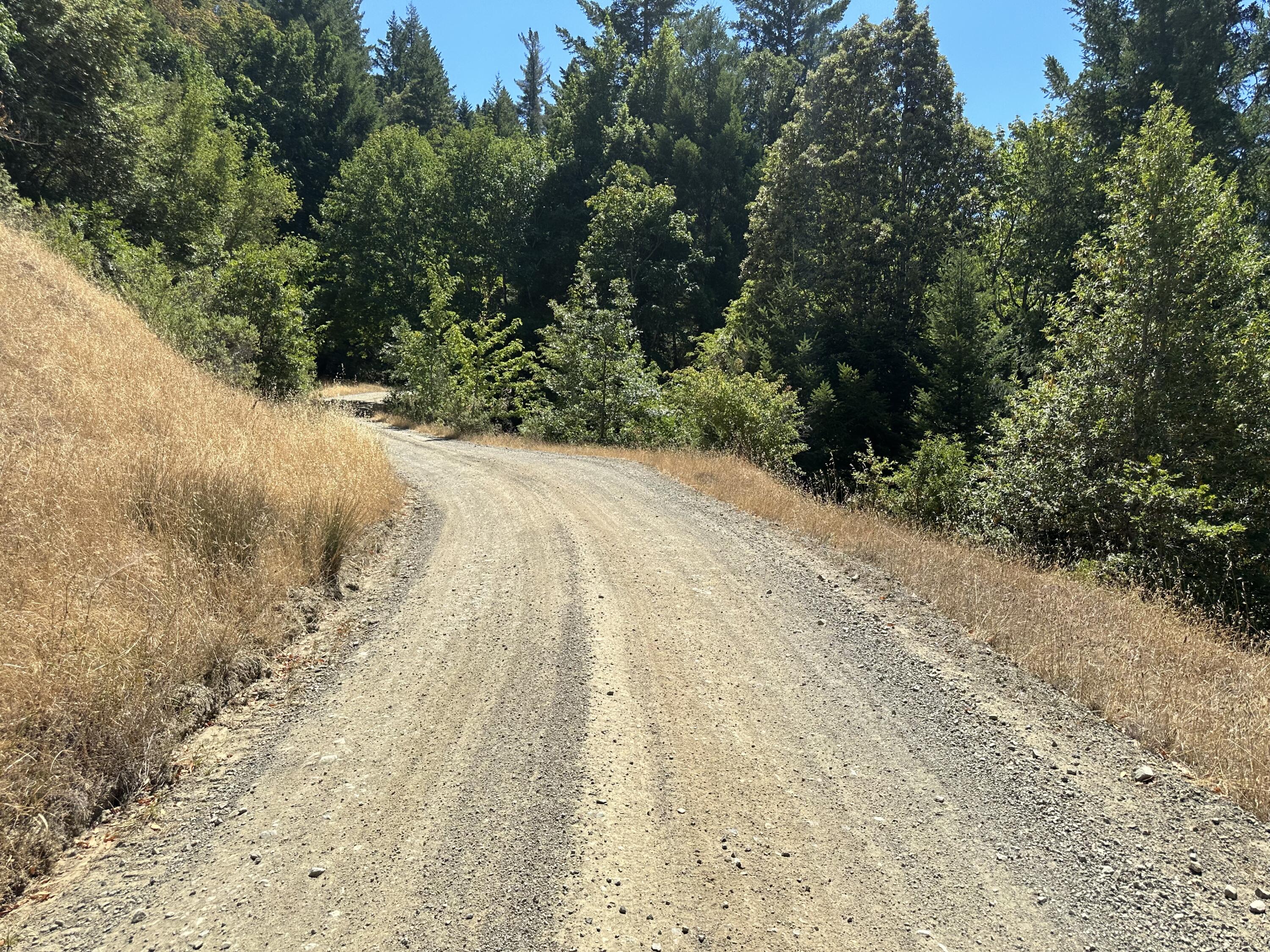 No Address No Address Road Miranda, CA 95553 - Photo 21 of 45