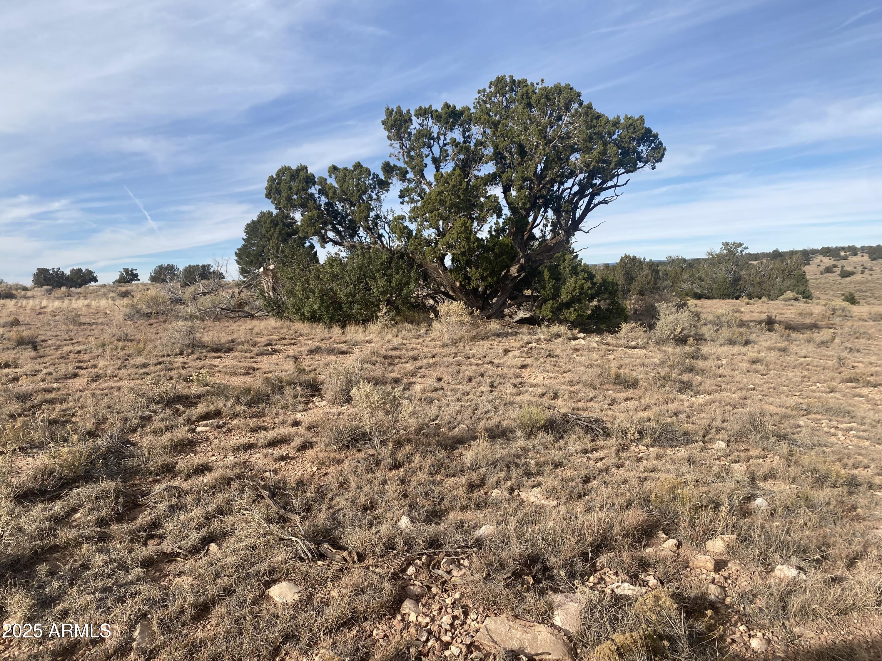 3147 Silver Valley Road, Unit 391 Williams, AZ 86046 - Photo 2 of 4 a view of a dry yard with wooden fence