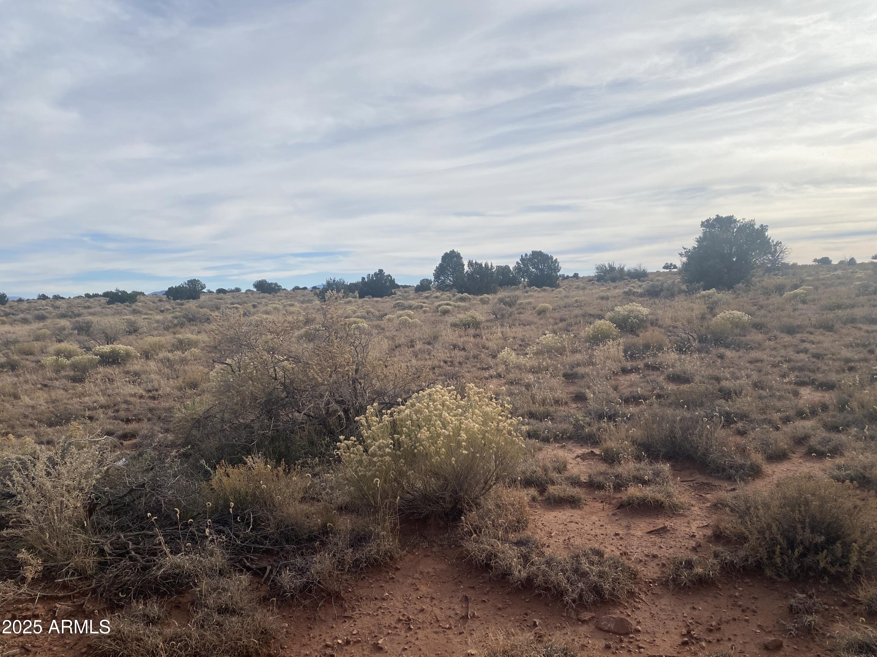 3147 Silver Valley Road, Unit 391 Williams, AZ 86046 - Photo 3 of 4 a view of a dry yard with lots of trees
