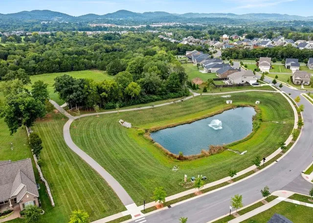 a view of a swimming pool with a garden and mountain view
