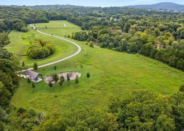 an aerial view of a residential houses with outdoor space and trees