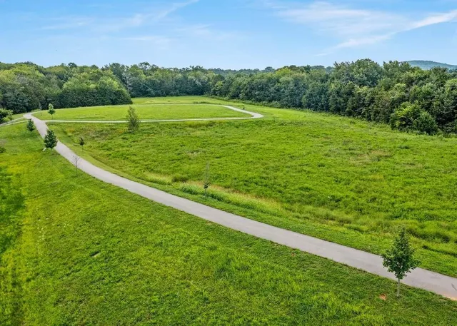 a view of a green field with an ocean
