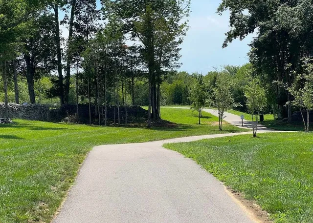 a view of a park with trees in the background