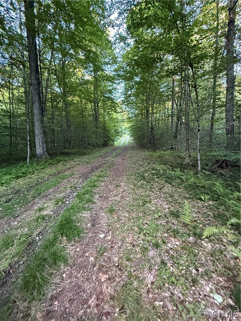 Lot #2 River Road Forestport, NY 13338 - Photo 7 of 18 Gallery Image 7