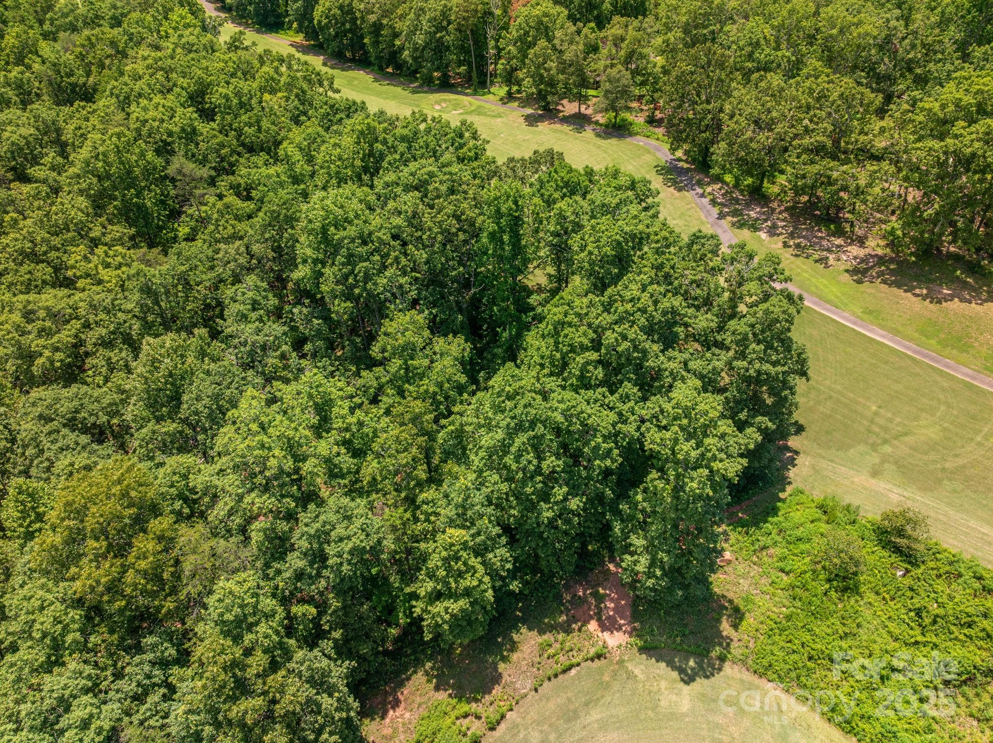Lot 219 Plantation Drive Rutherfordton, NC 28139 - Photo 4 of 19 a view of a garden