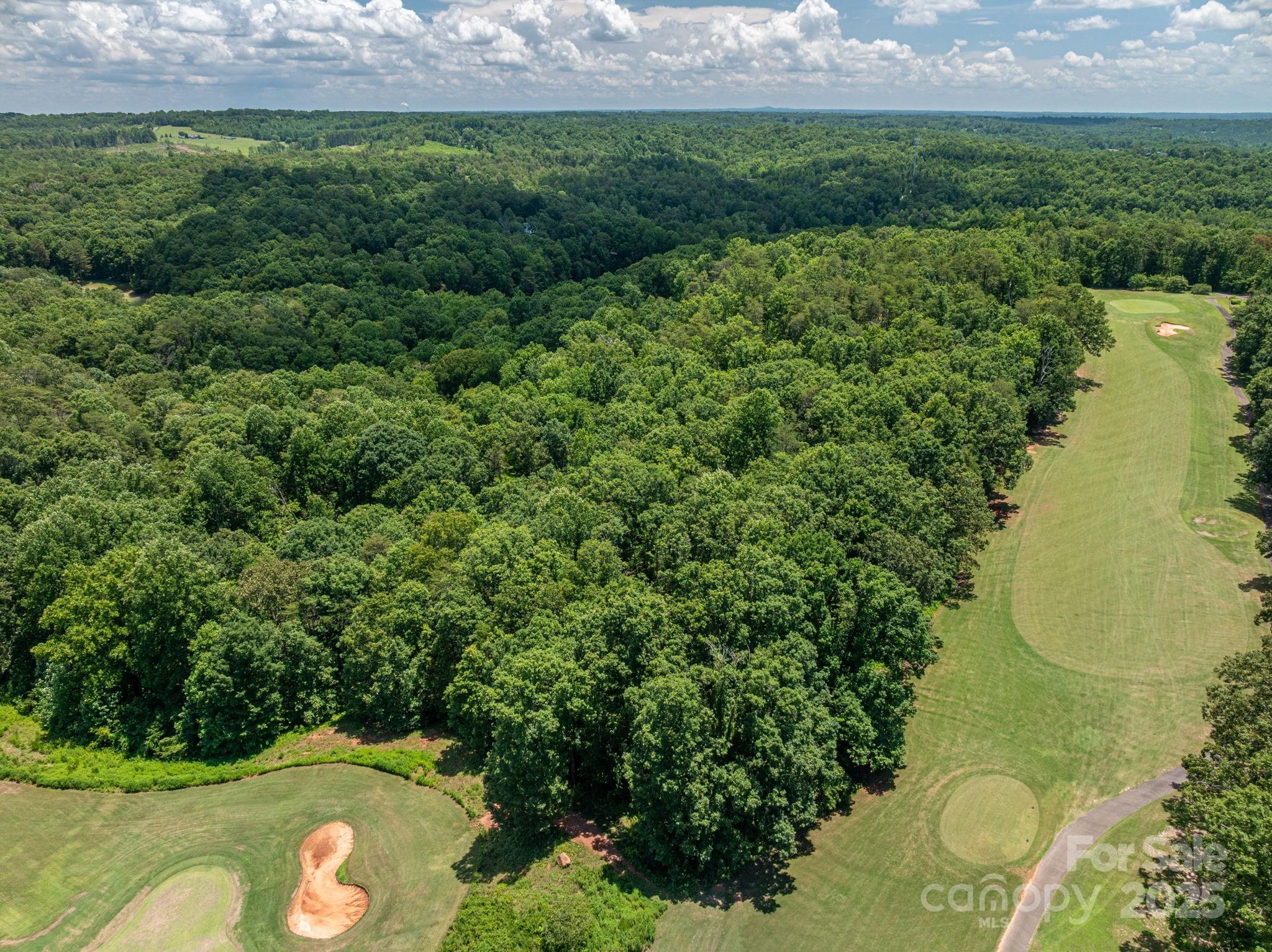 Lot 219 Plantation Drive Rutherfordton, NC 28139 - Photo 5 of 19 a view of a back yard
