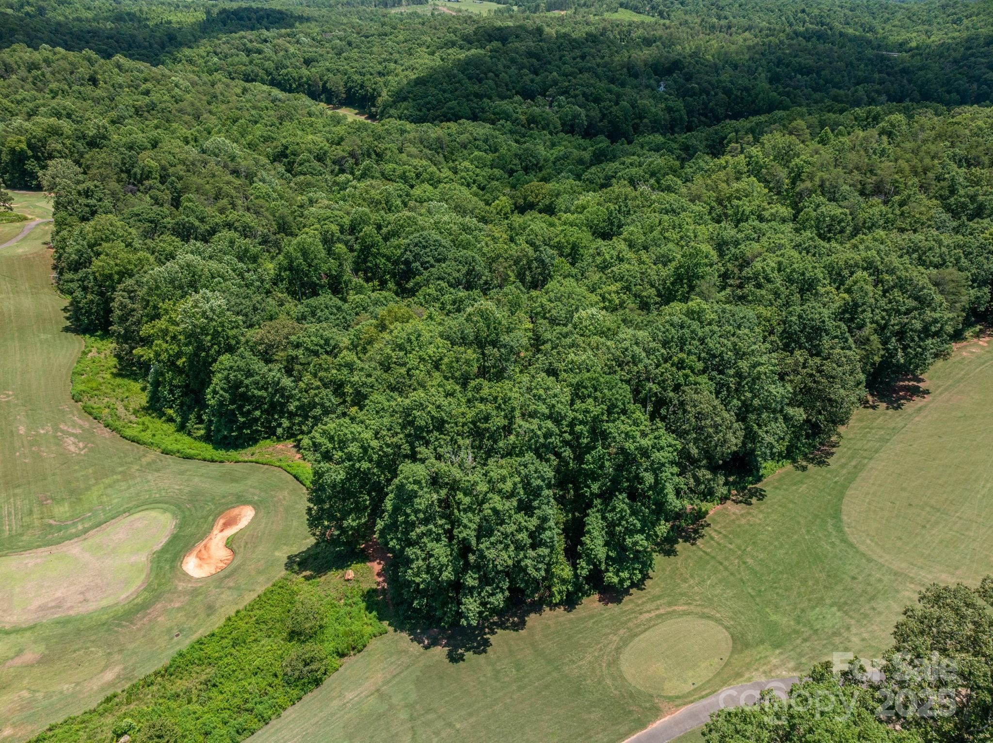 Lot 219 Plantation Drive Rutherfordton, NC 28139 - Photo 6 of 19 a view of a lush green forest with lots of trees
