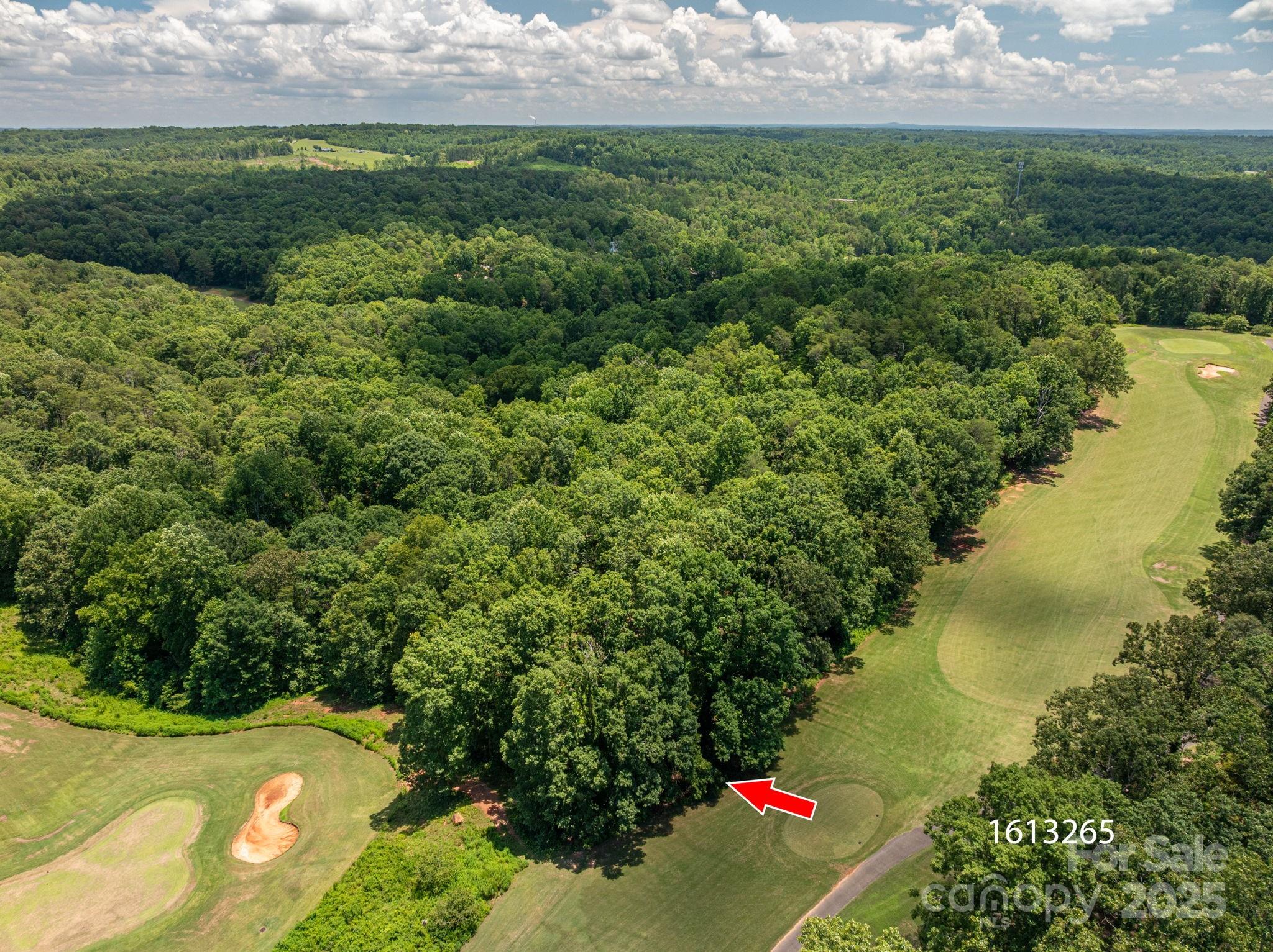 Lot 219 Plantation Drive Rutherfordton, NC 28139 - Photo 8 of 19 a view of a lake with a yard
