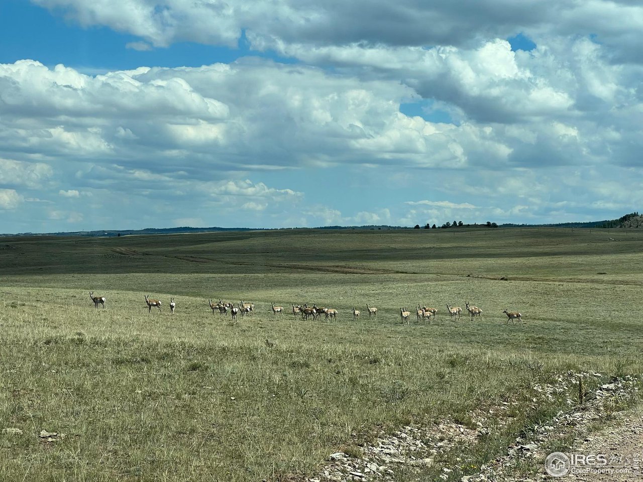 996 Thirty Six Lane Livermore, CO 80536 - Photo 3 of 11 a view of an ocean