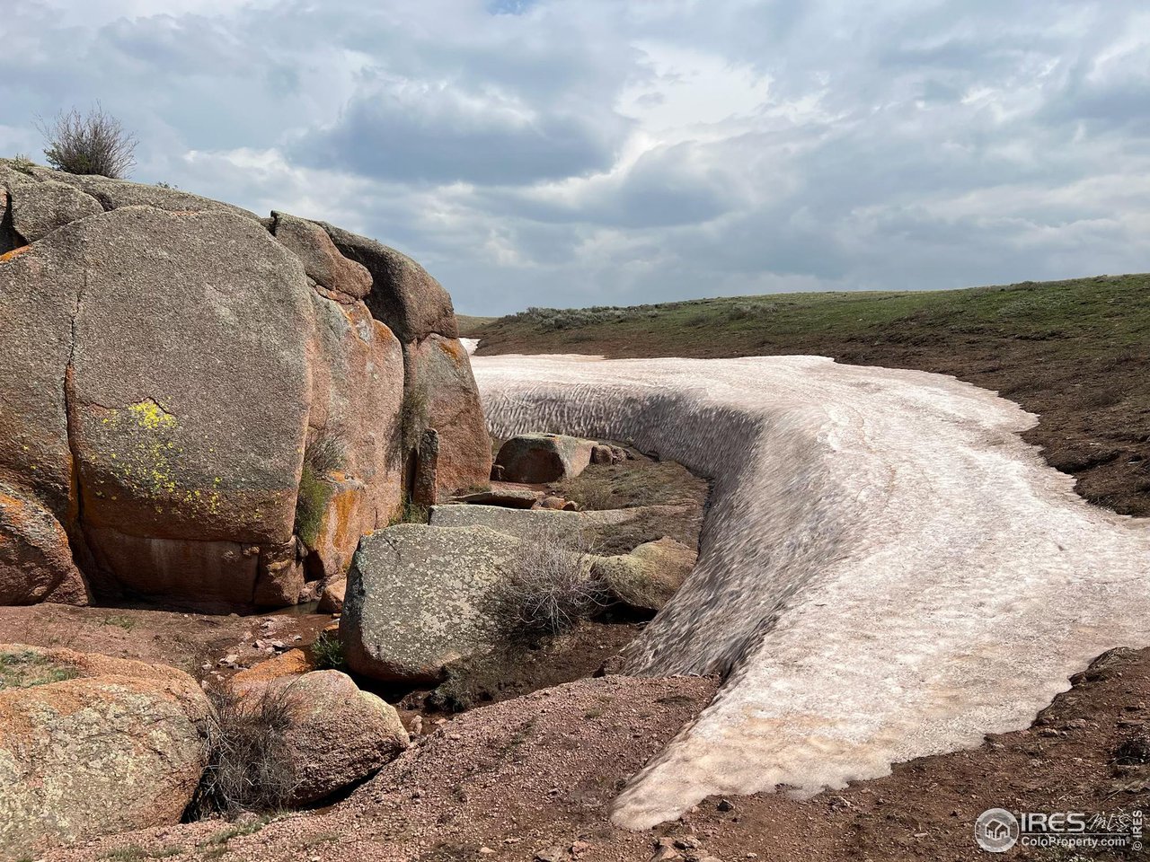 996 Thirty Six Lane Livermore, CO 80536 - Photo 10 of 11 a view of a backyard of the house