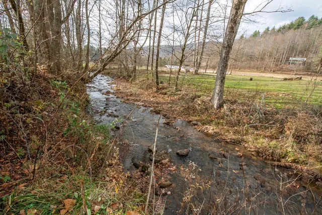 a view of backyard with green space