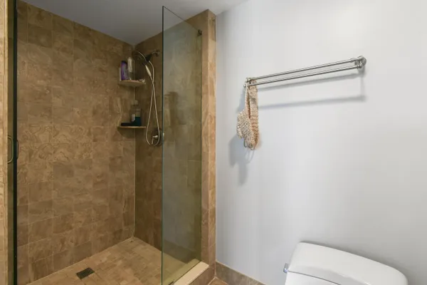 a bathroom with a shower and toilet