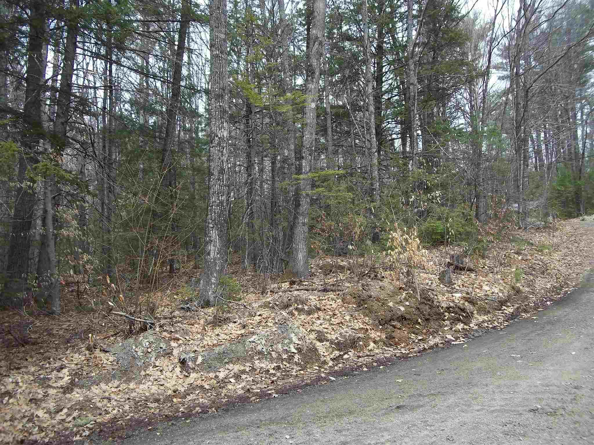 Fein Lane Center Conway, NH 03813 - Photo 3 of 5 Gallery Image 3