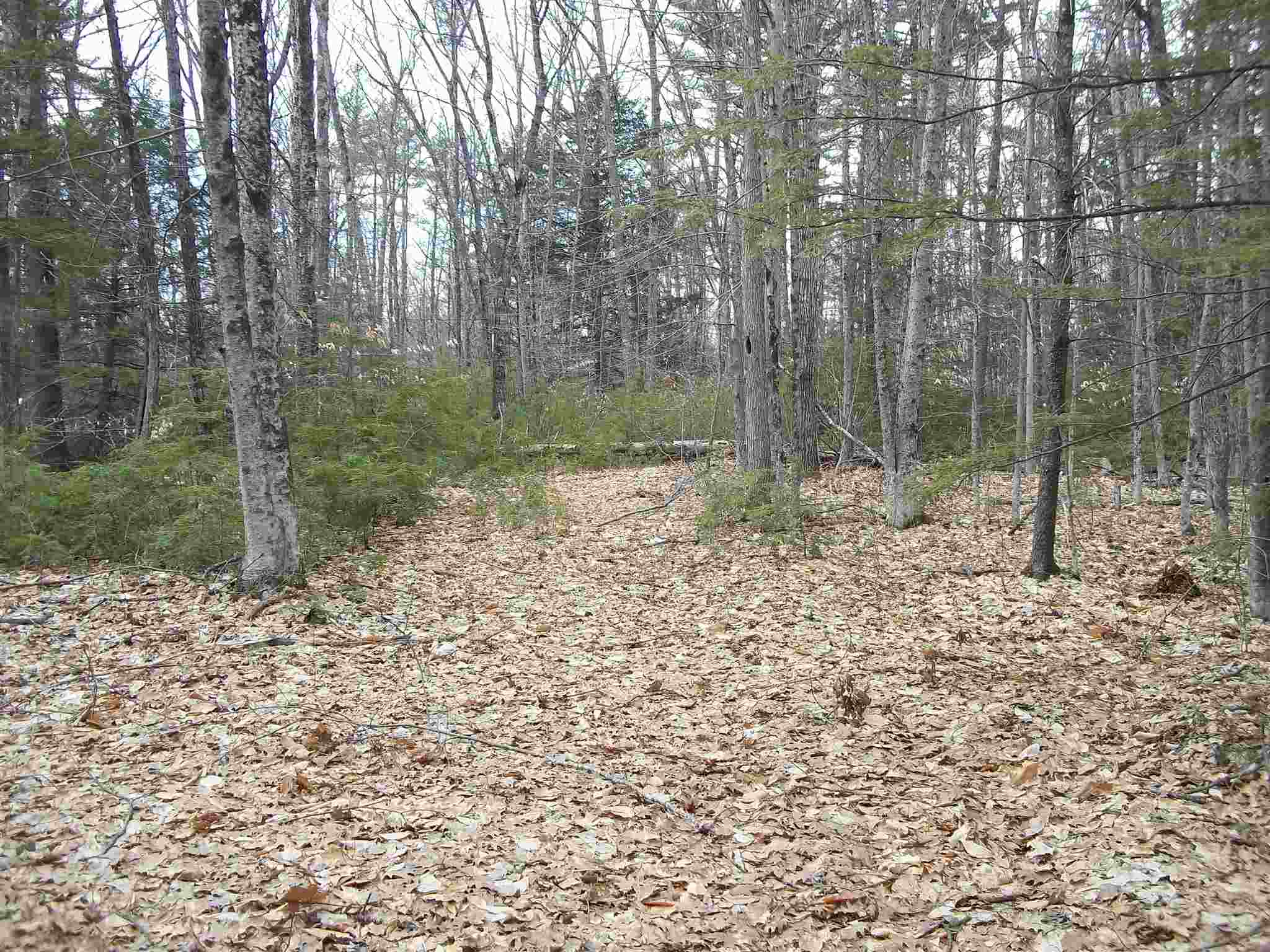 Fein Lane Center Conway, NH 03813 - Photo 5 of 5 Gallery Image 5