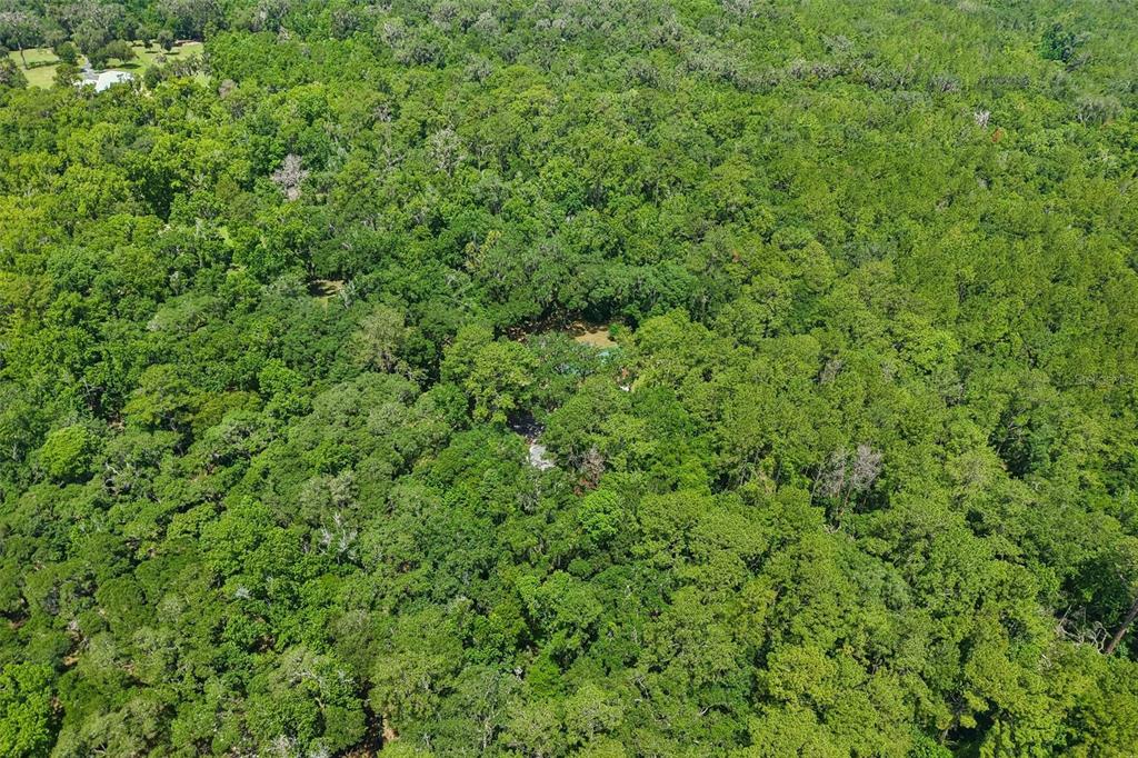 6221 Emerson Road Brooksville, FL 34601 - Photo 33 of 45