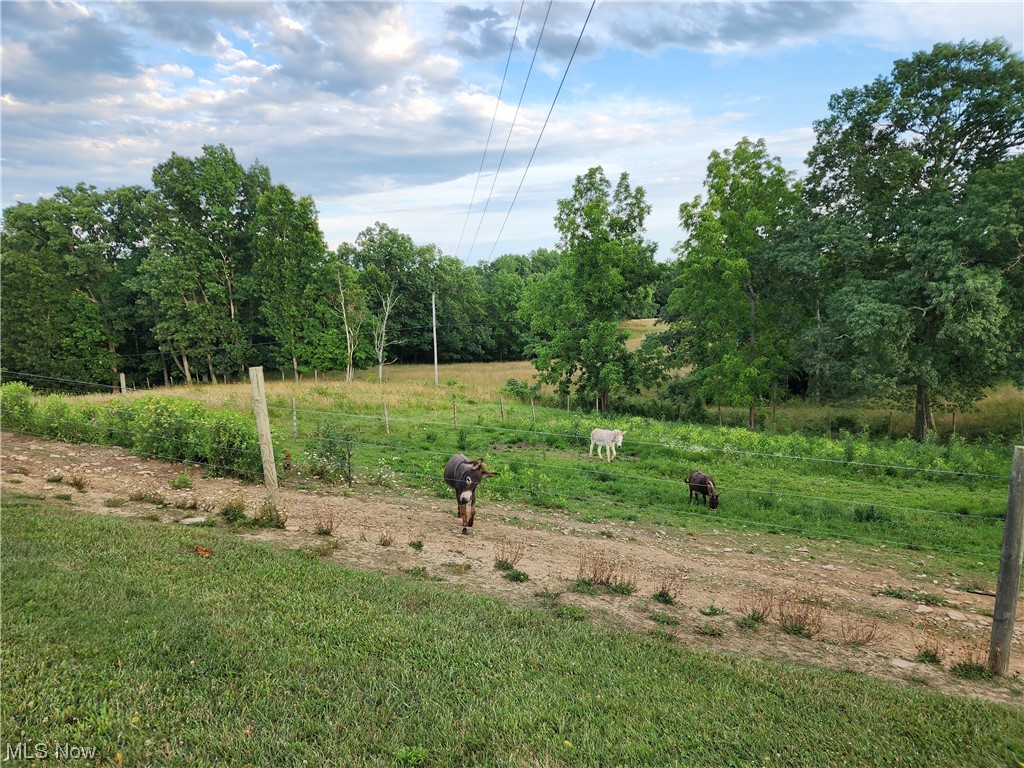 55050 Iowa Road Cumberland, OH 43732 - Photo 9 of 35