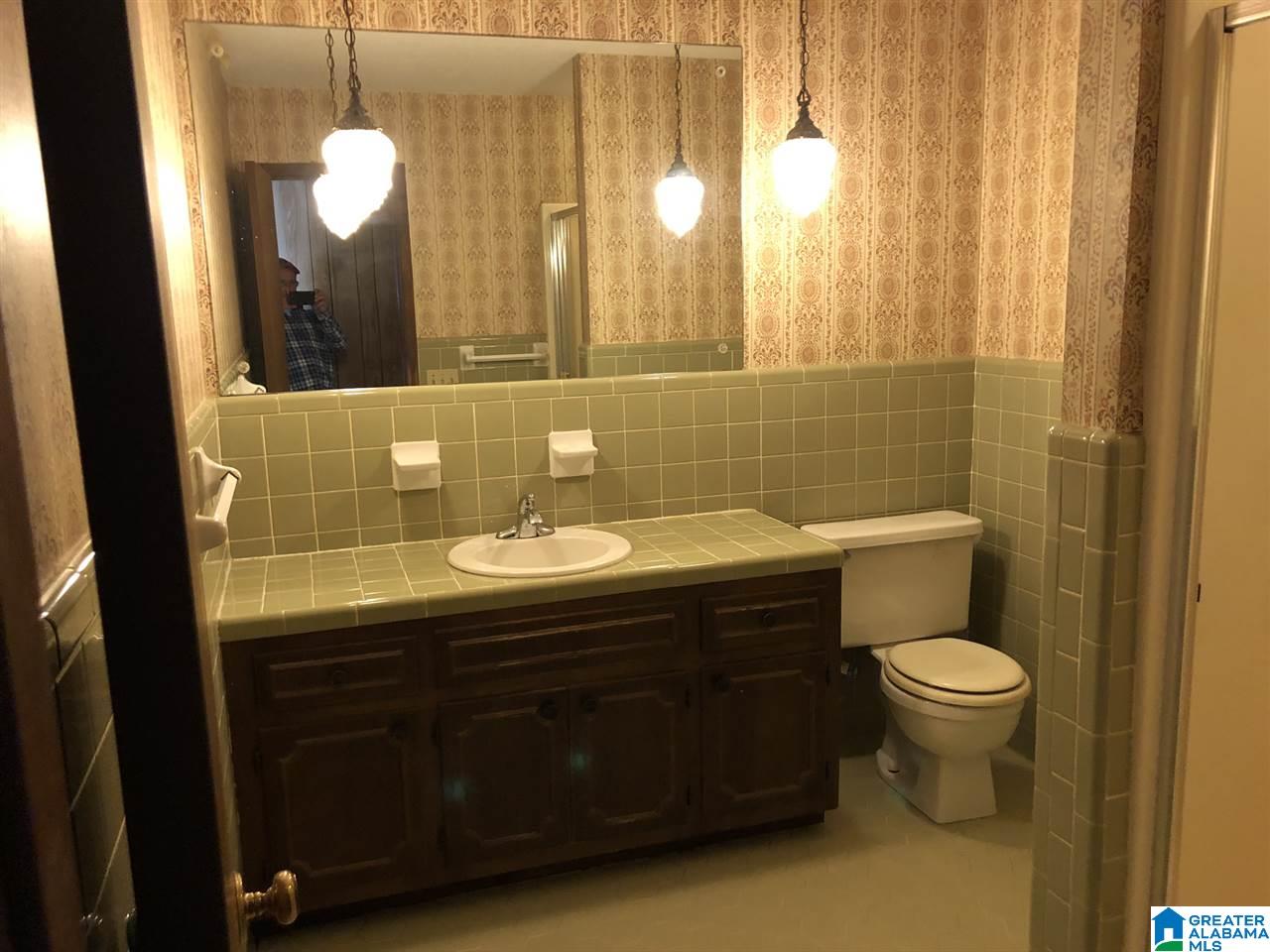 609 Cobb Brazeel Road Trafford, AL 35172 - Photo 7 of 42